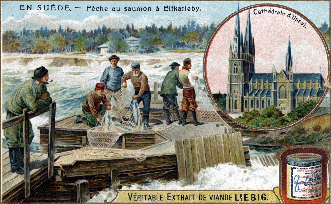 Pêche au saumon à Elfkarleby, Suède. Chromolithographie, image Liebig. - Unknown artist