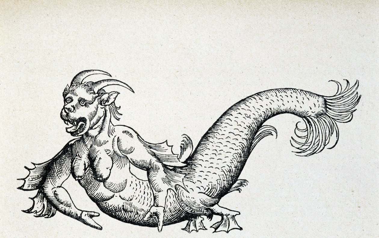 Diable de mer, supposément capturé dans la mer Adriatique au début du 15e siècle - selon Gesner - Unknown artist