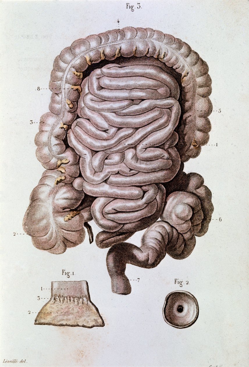 Étude de l
