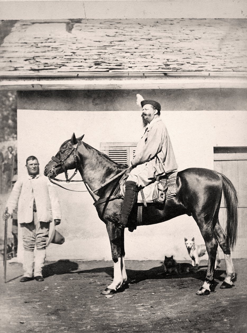 Le roi d