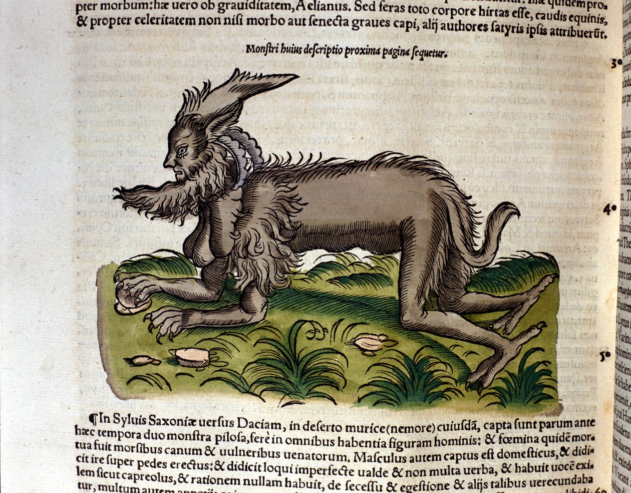 La manticore de l
