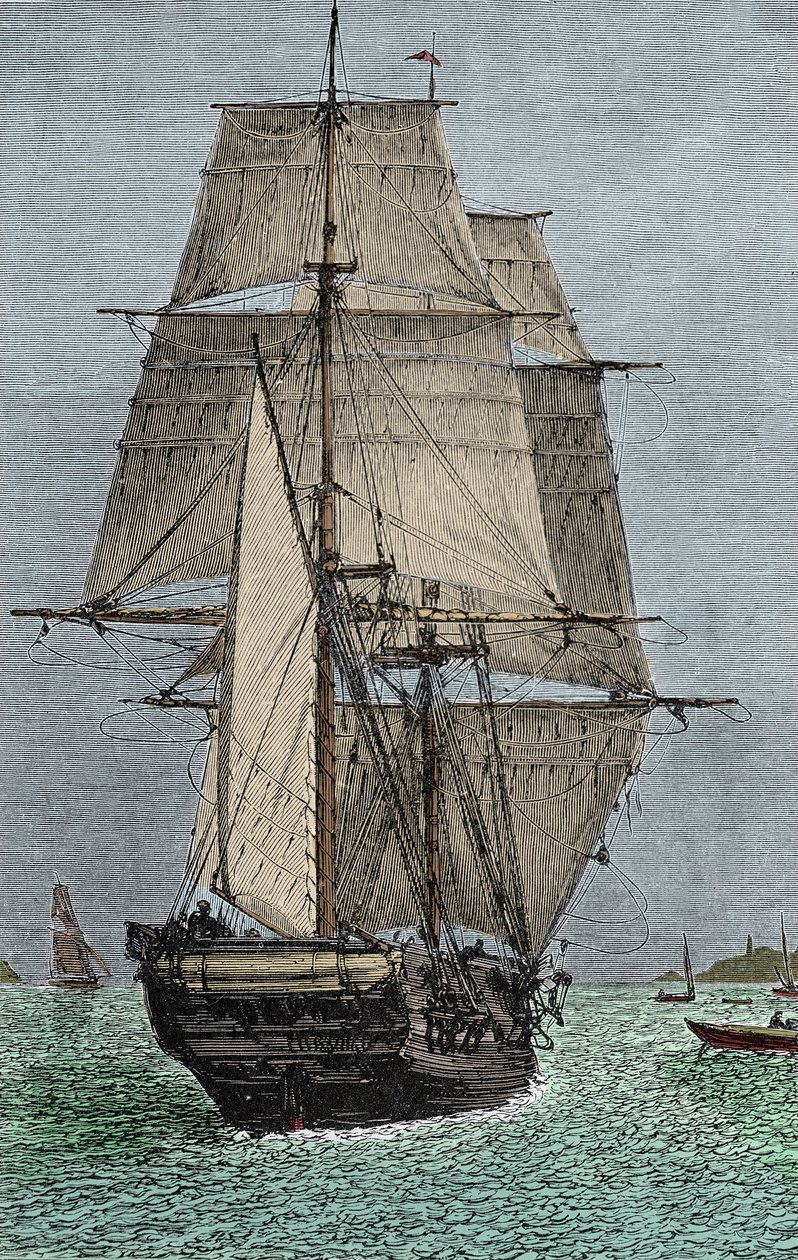 Le navire « Beagle » (expédition à laquelle Darwin a participé en tant que naturaliste) - Unknown artist