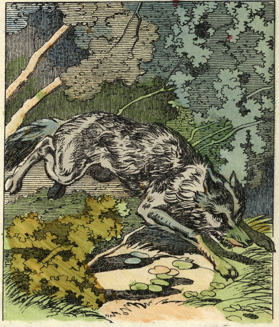 Le loup court vers la maison de Grand-mère. Illustration du conte « Le Petit Chaperon Rouge » de Charles Perrault. - Unknown artist