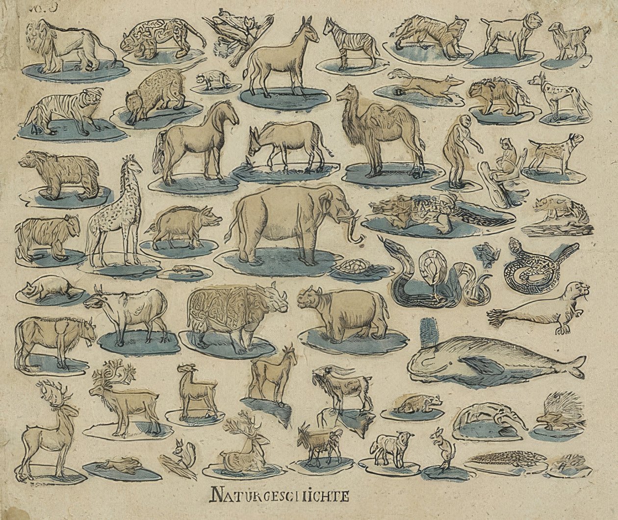 Animaux. 1750-1800 - Unknown