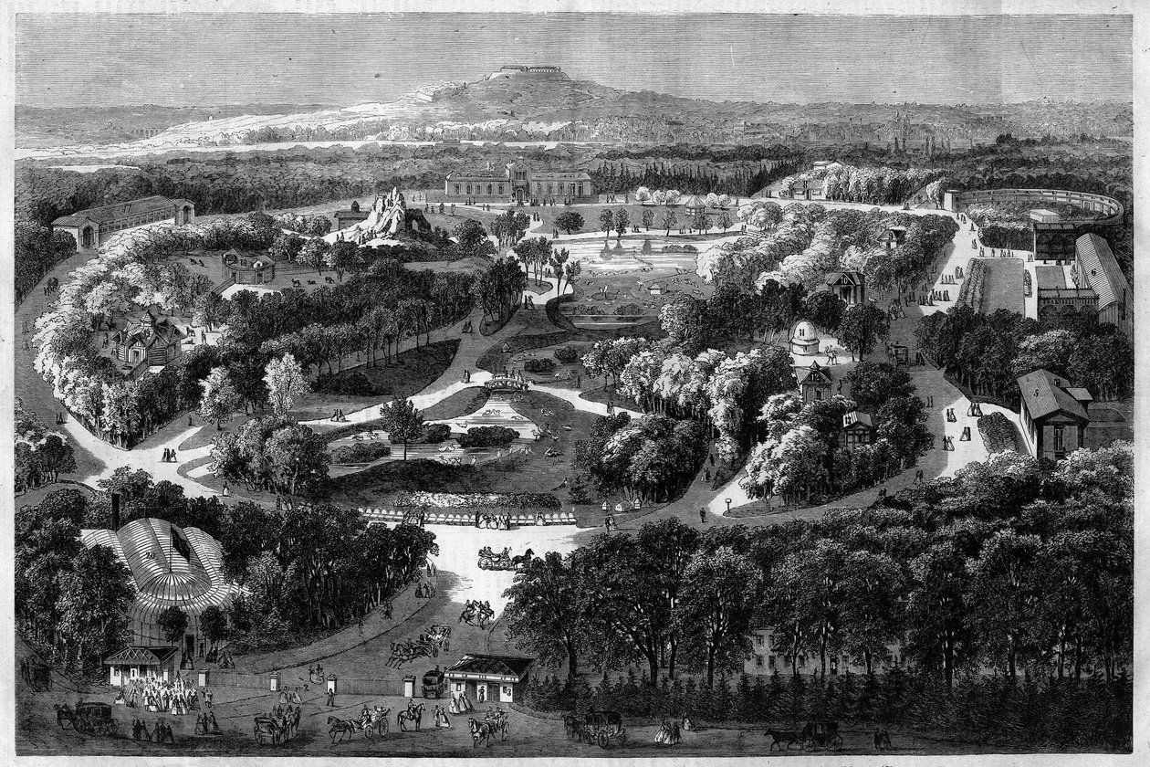Vue générale du jardin d