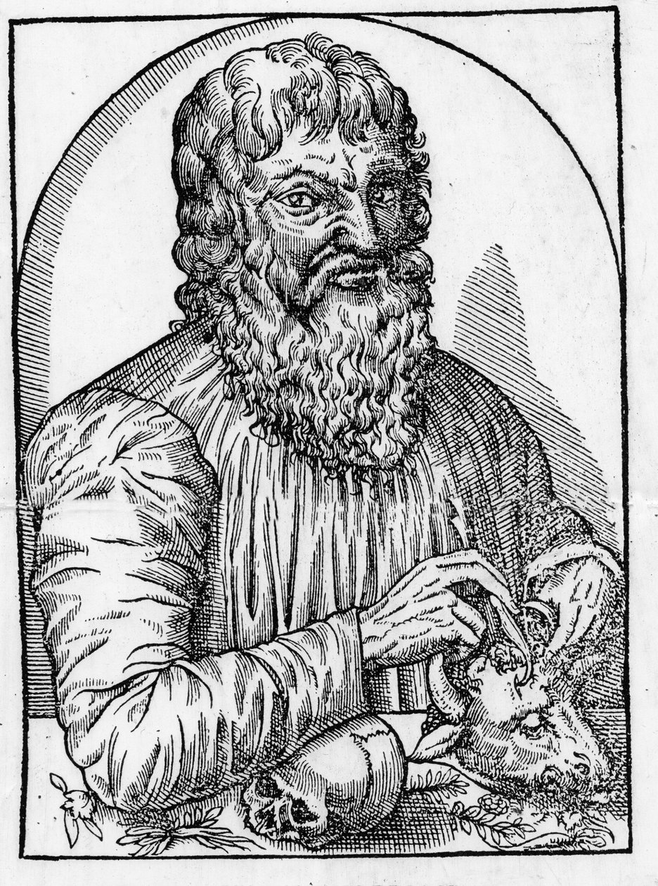 Portrait d