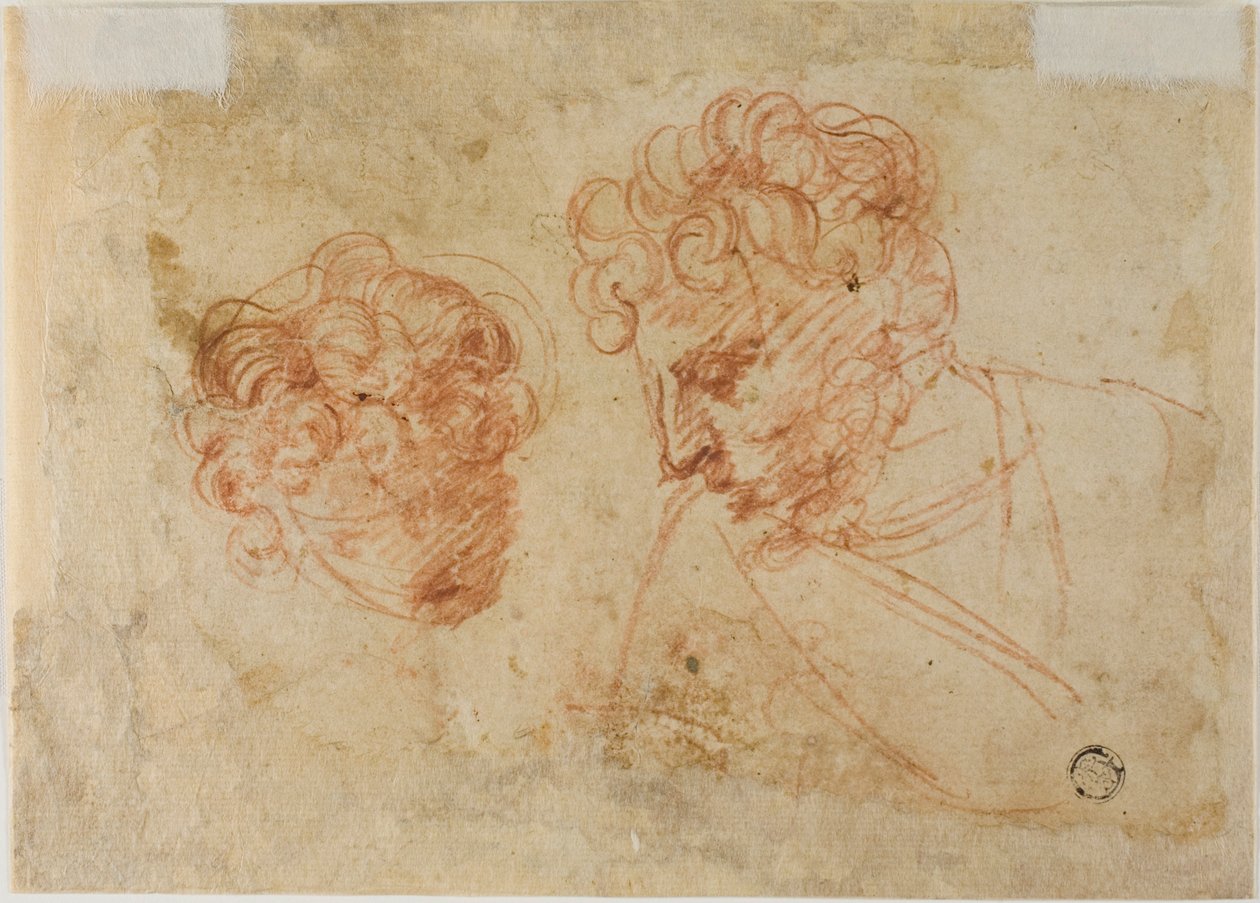 Deux esquisses de têtes (recto) ; deux esquisses de femmes drapées (verso) - Unknown Florentine