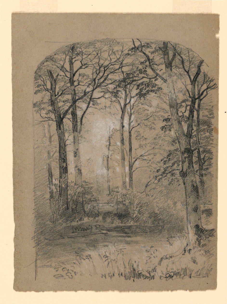 Dessin, étude de la forêt, 1865-70 - Unknown artistUnknown artist
