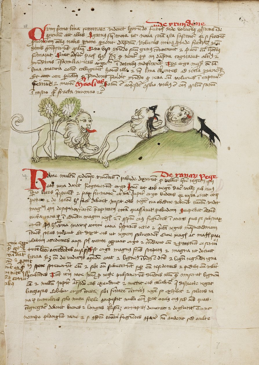 Un lion et un autre lion avec une souris - Unknown artist