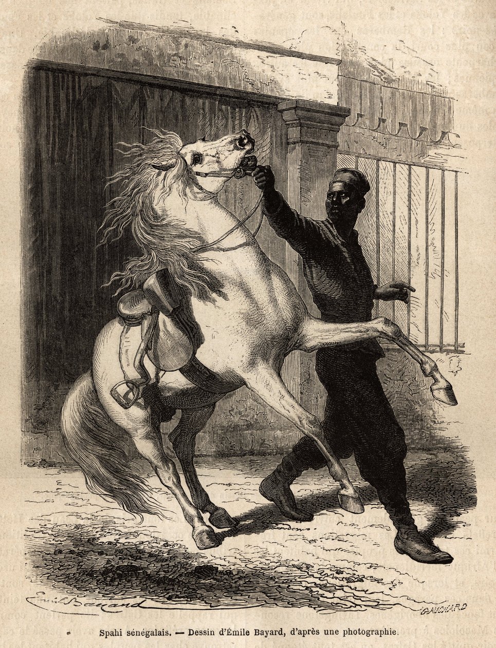 Un spahi sénégalais (cavalier) à Saint-Louis (Saint Louis). Gravure pour illustrer une croisière sur la côte d