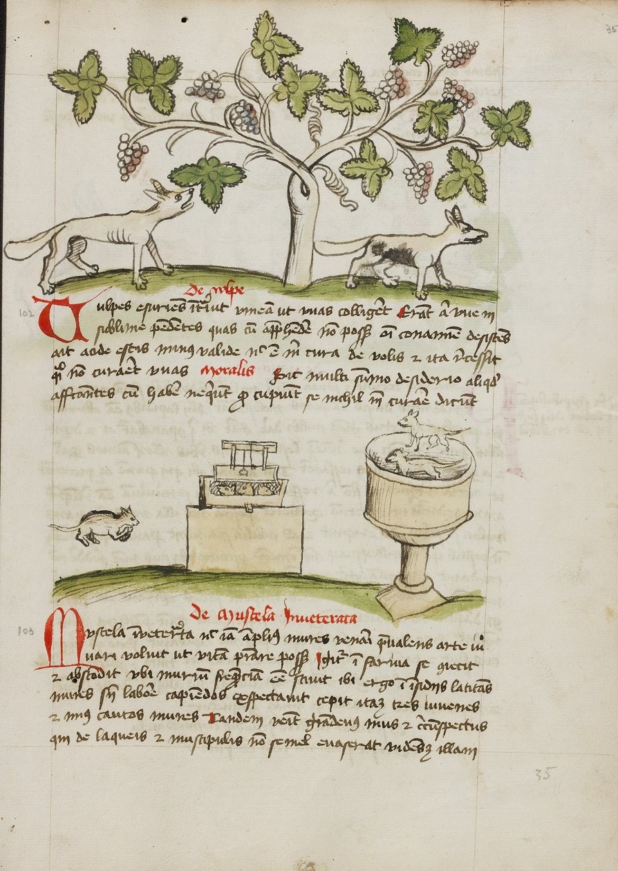 Une belette et plusieurs souris capturées - Unknown artist