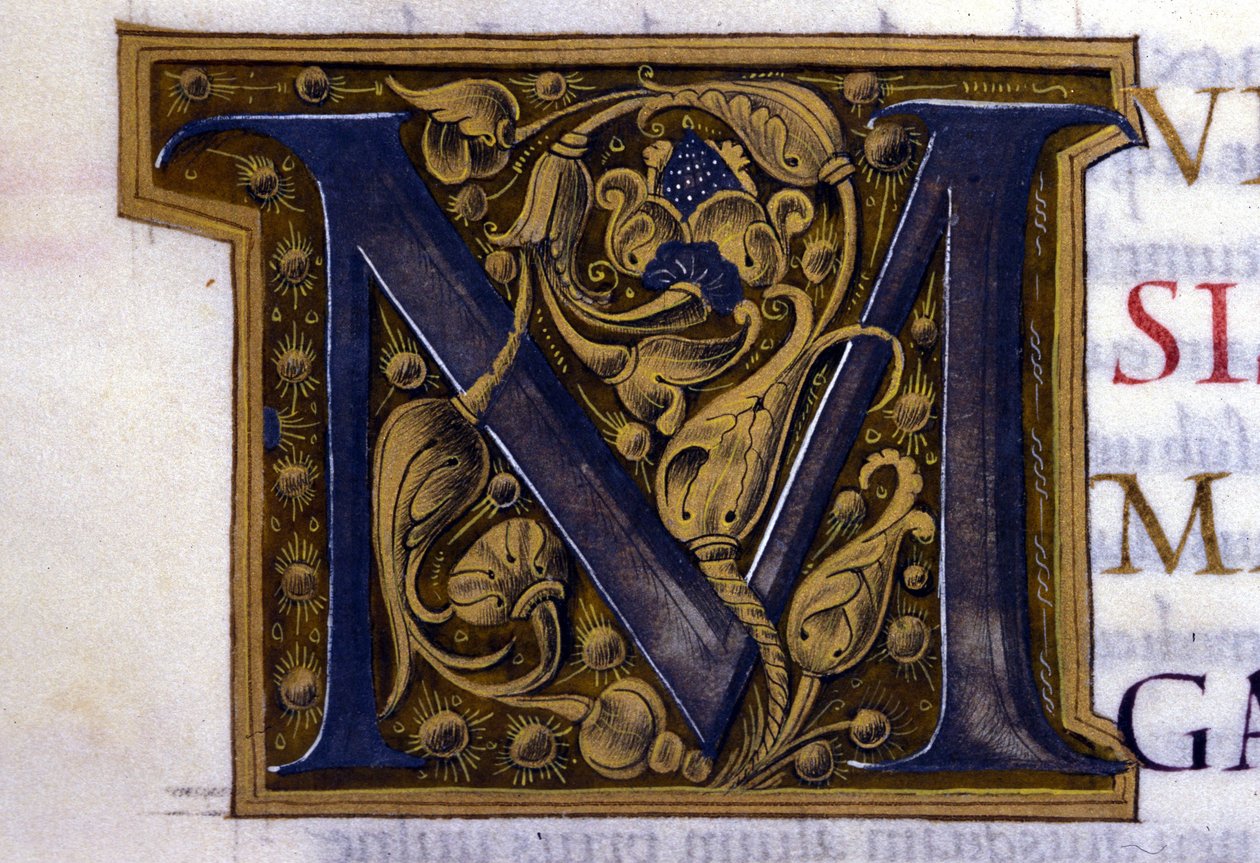 Alphabet : lettre miniaturée M - Unknown artist