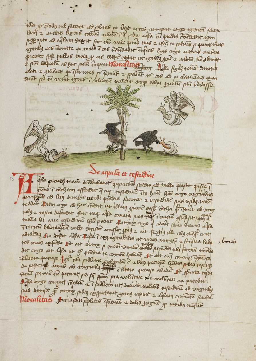 Un aigle saisissant un escargot ; une corneille picorant un escargot - Unknown artist