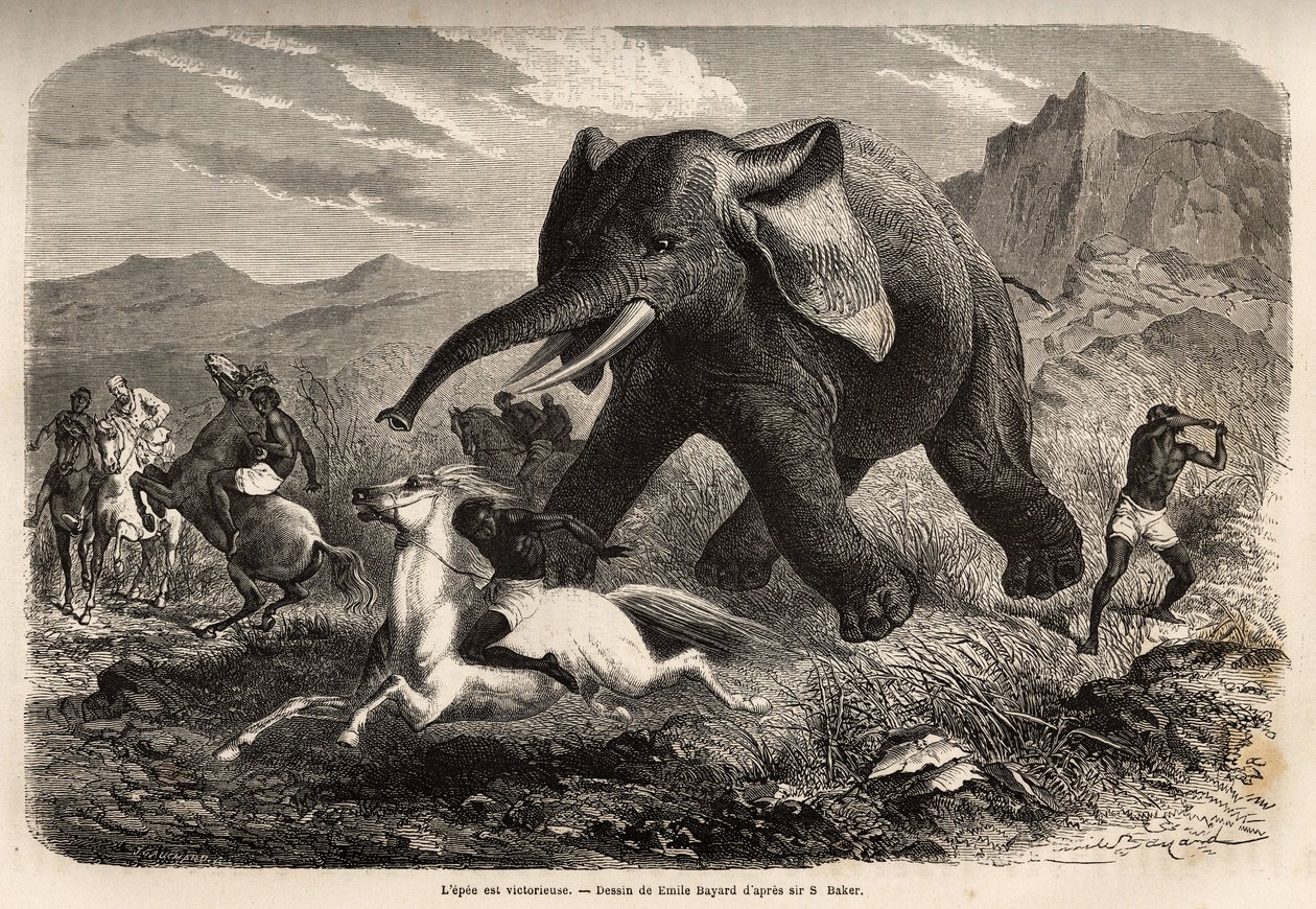 Un éléphant termine la troupe qui le chassait et charge les chasseurs à cheval, tandis que l