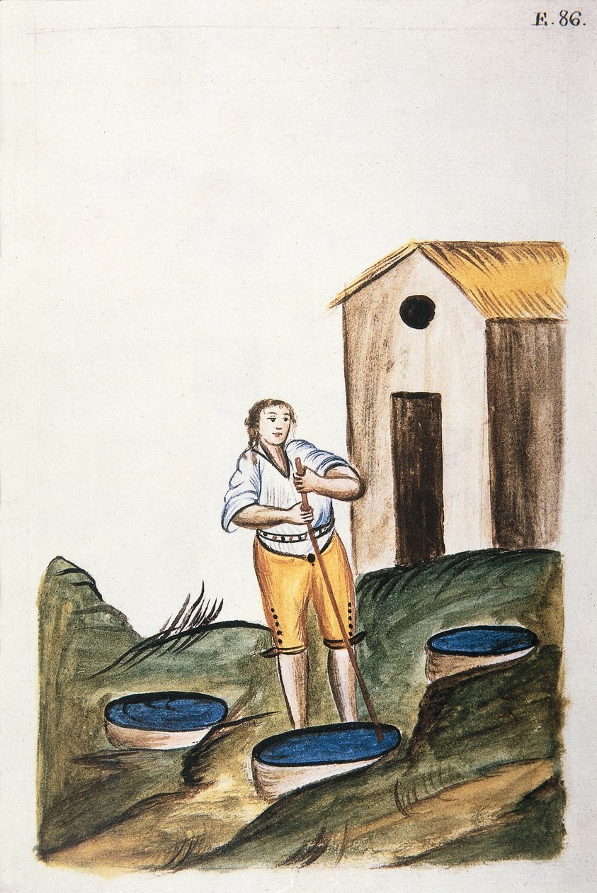 Plateau de teinture bleue utilisé pour teindre la laine, du livre "Trujillo del Peru" ou "Códice Martínez Compañón", par Baltazar Martinez Compañón y Bujanda, évêque de Trujillo (1782-1785) - Unknown artist
