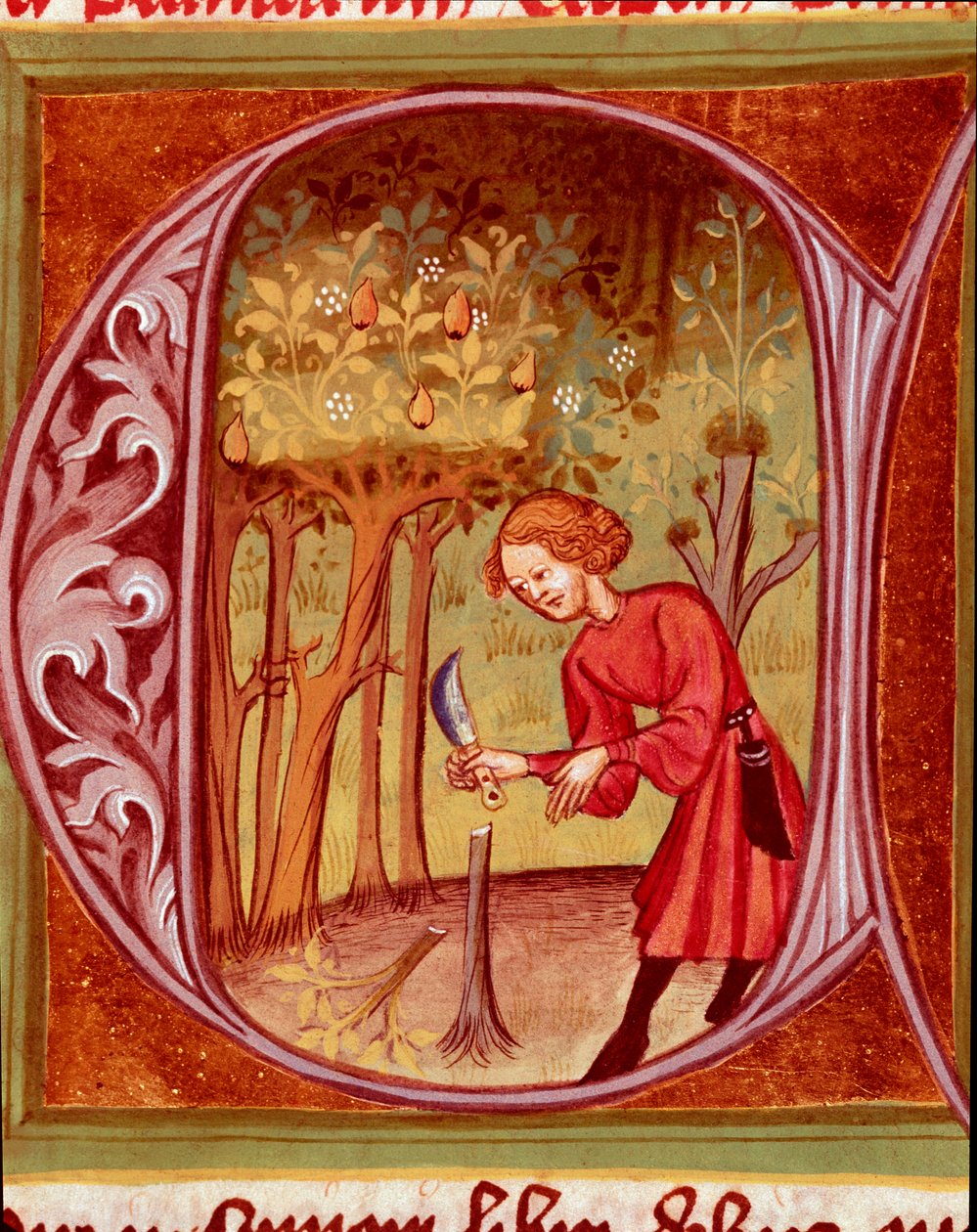 Botanique : un jardinier pratiquant une greffe. Miniature tirée de « L
