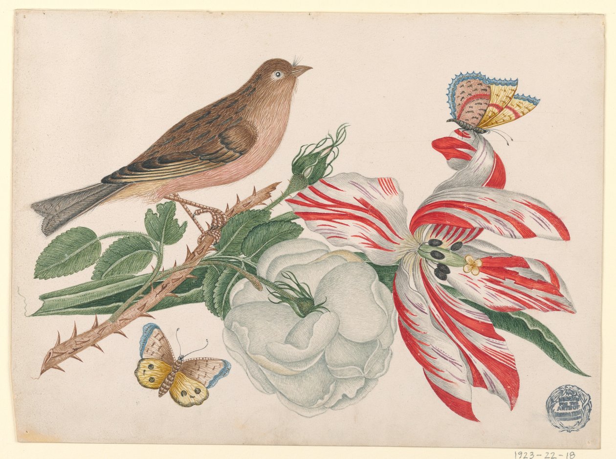 Oiseau brun sur une branche avec rose, tulipe et insectes - Unknown artist
