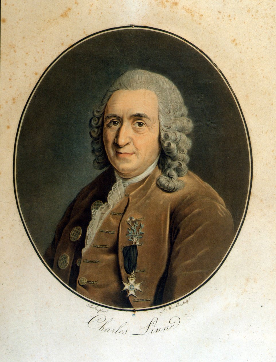 Carl Von Linné naturaliste et écrivain suédois (1707 - 1778) - Unknown artist