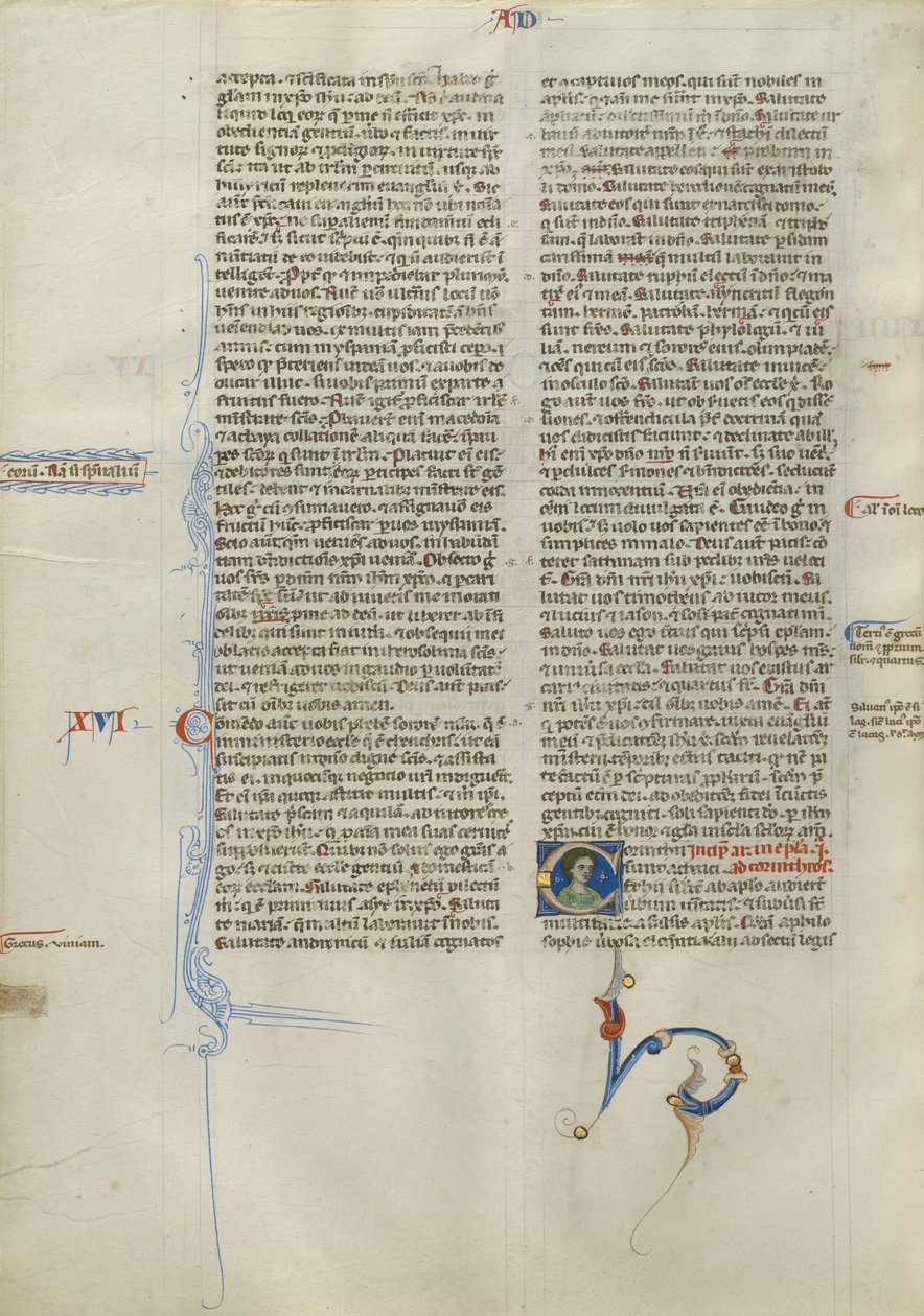 Initiale C décorée - Unknown artist