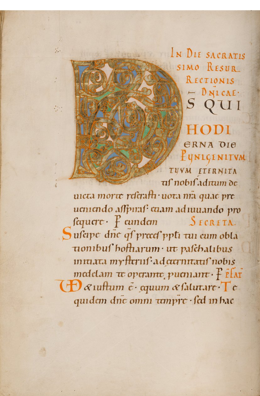 Initiale D décorée - Unknown artist