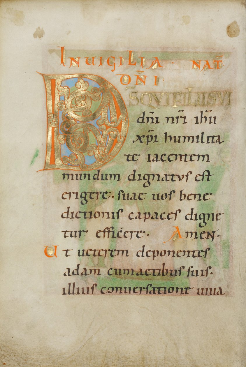 Initiale D décorée - Unknown artist