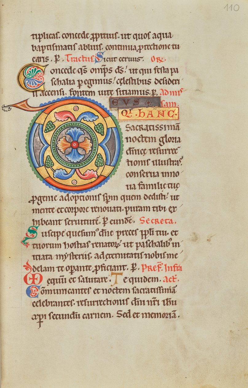 Initiale D décorée - Unknown artist