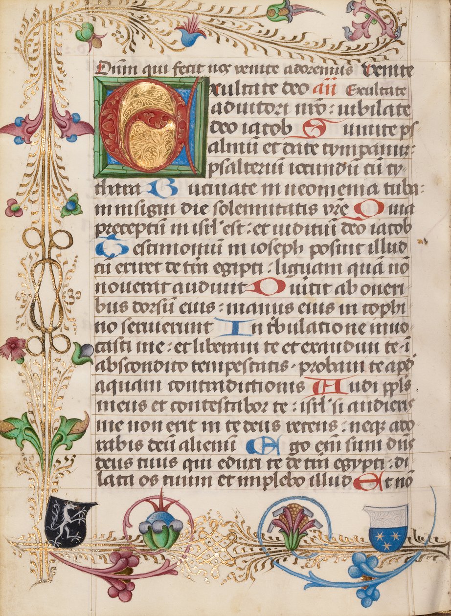 Initiale E décorée - Unknown artist