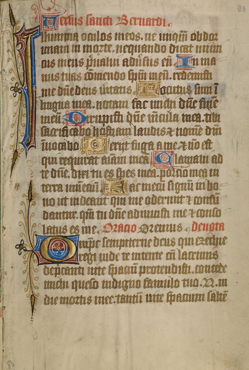 Page de texte décorée - Unknown artist