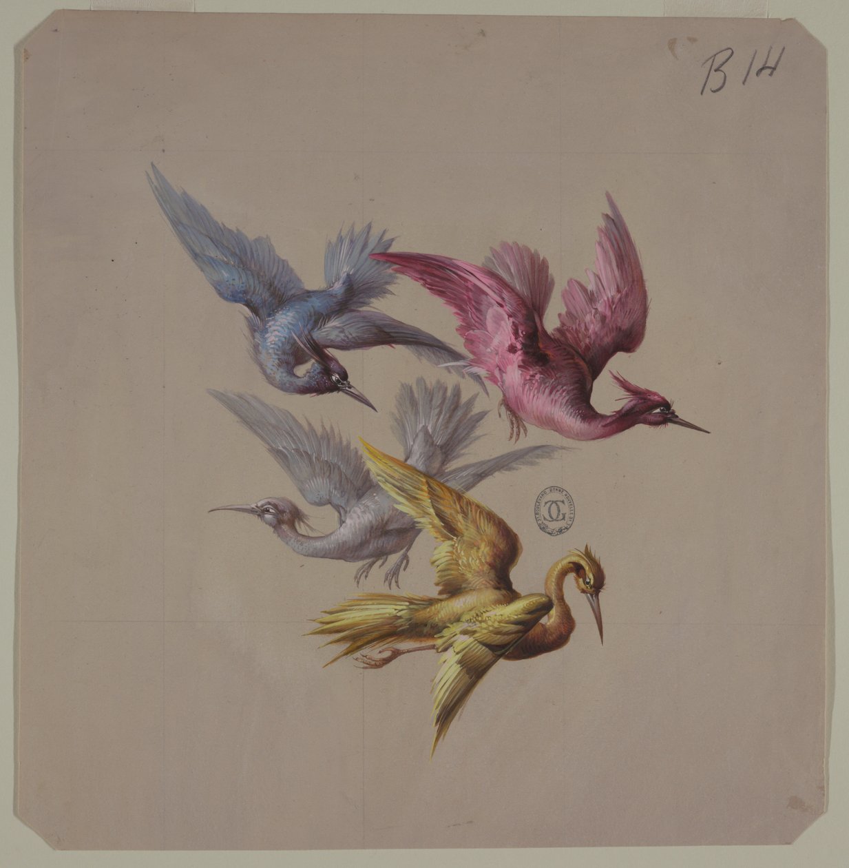 Dessins pour papiers peints et textiles : Oiseaux - Unknown artist