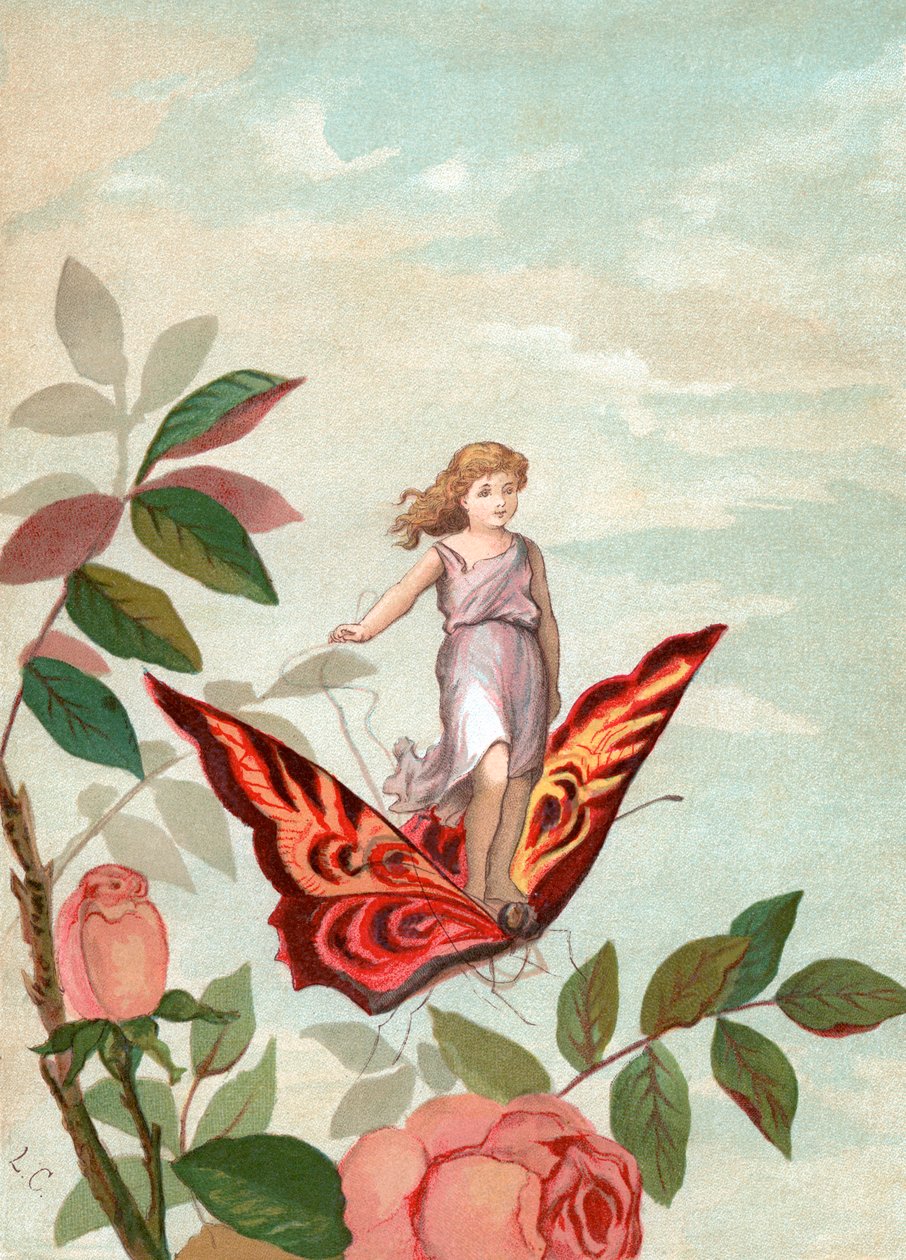 Fée chevauchant un papillon parmi les roses - Unknown artist
