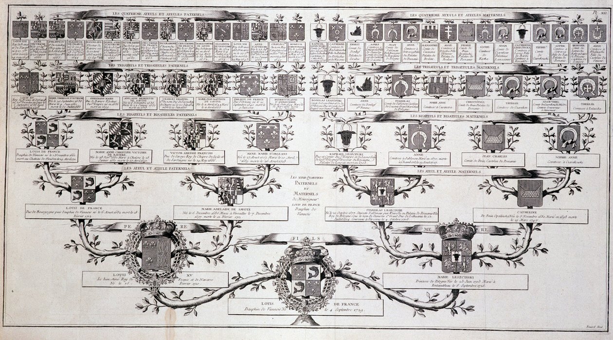 Arbre généalogique du dauphin de France, fils de Louis XV et Marie Leczcinski - dans « Encyclopédie » par Diderot - Unknown artist
