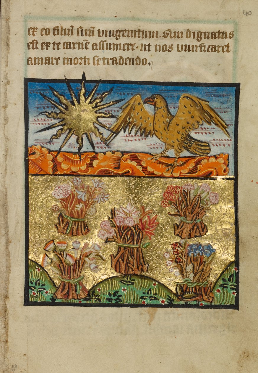 Cinq bouquets de fleurs - Unknown artist
