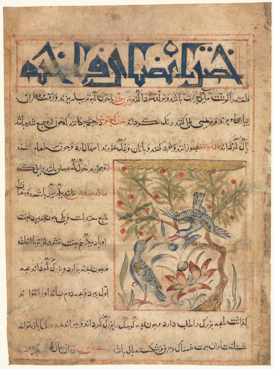 Folio d