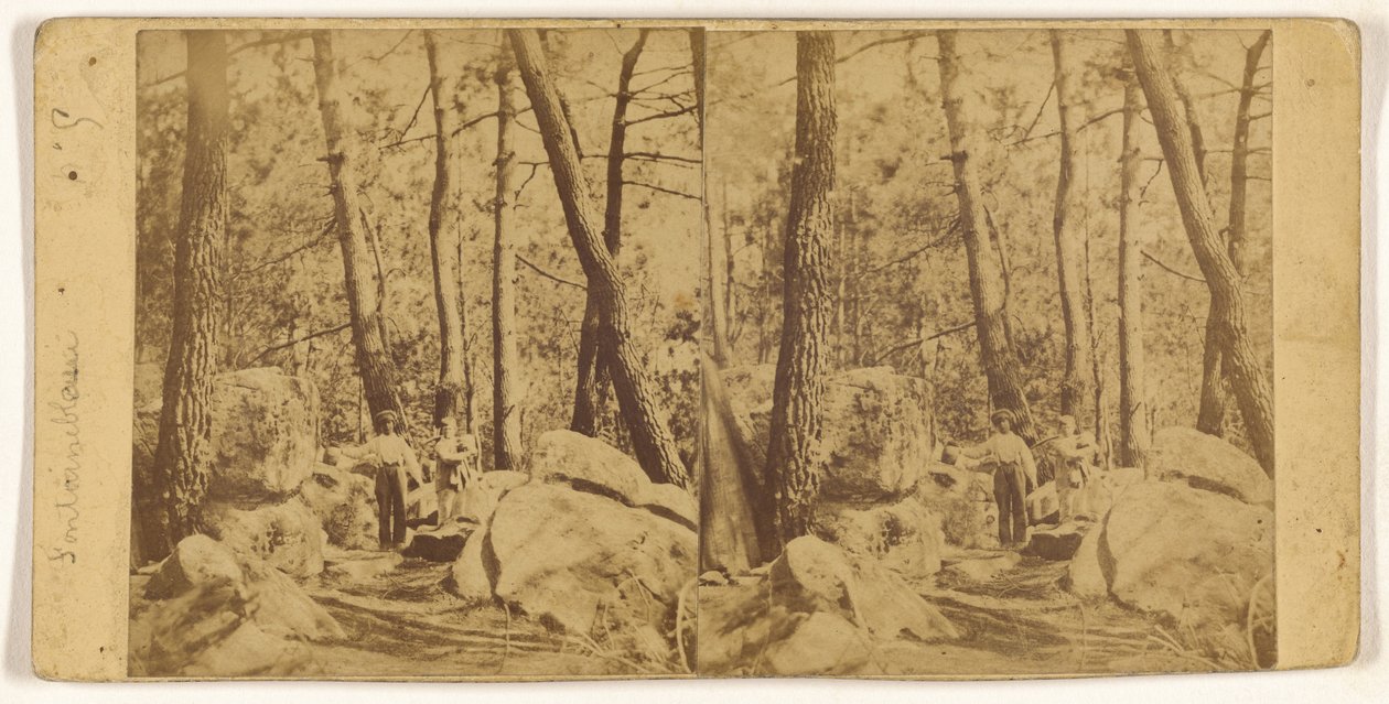 [Fontainebleau] - Unknown artist
