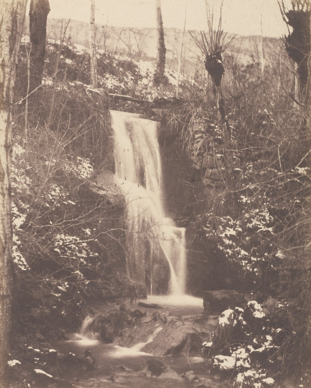 [Scène de forêt avec cascade et ruisseau] - Unknown artist