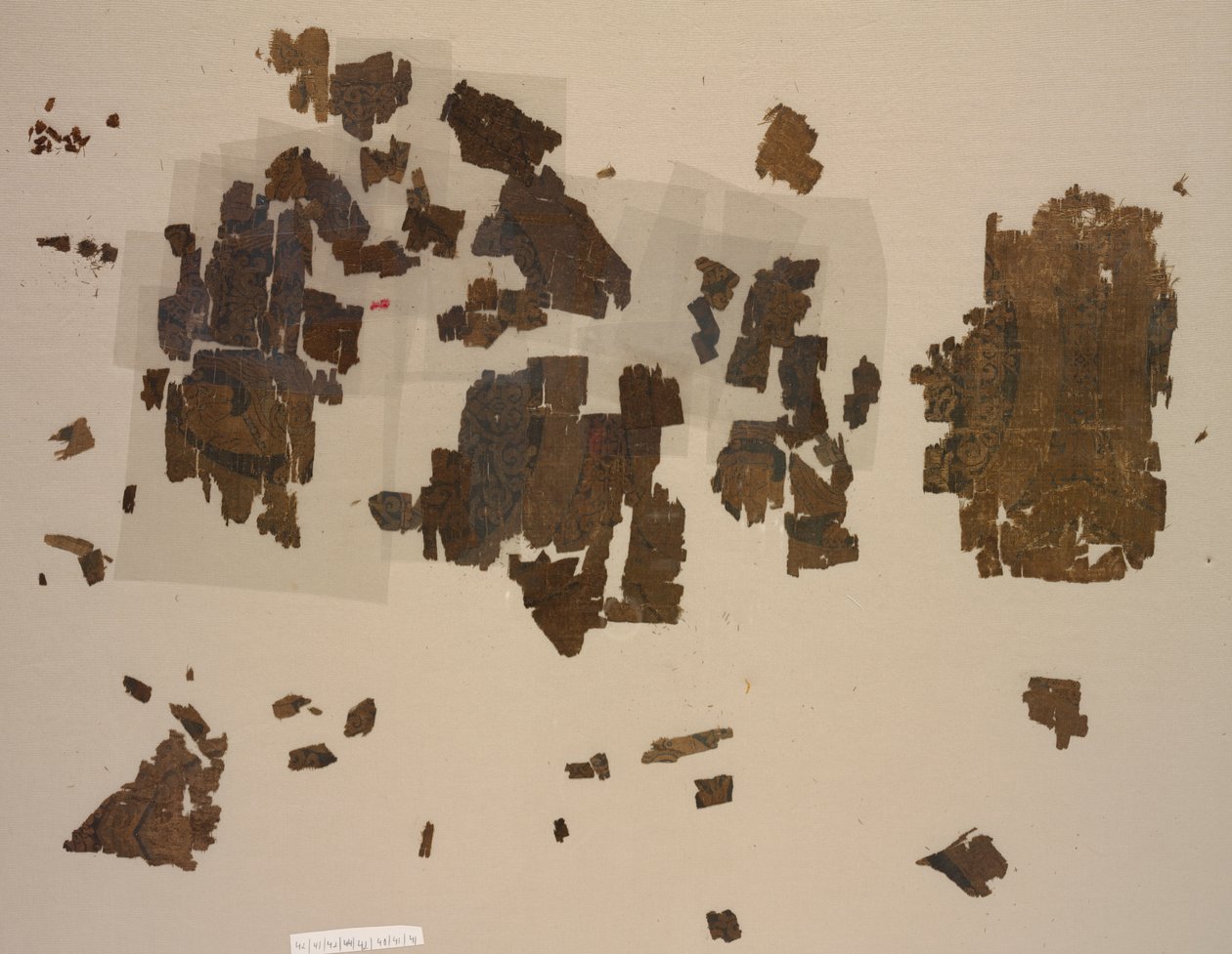 Fragments avec des lions ailés dans des médaillons - Unknown artist