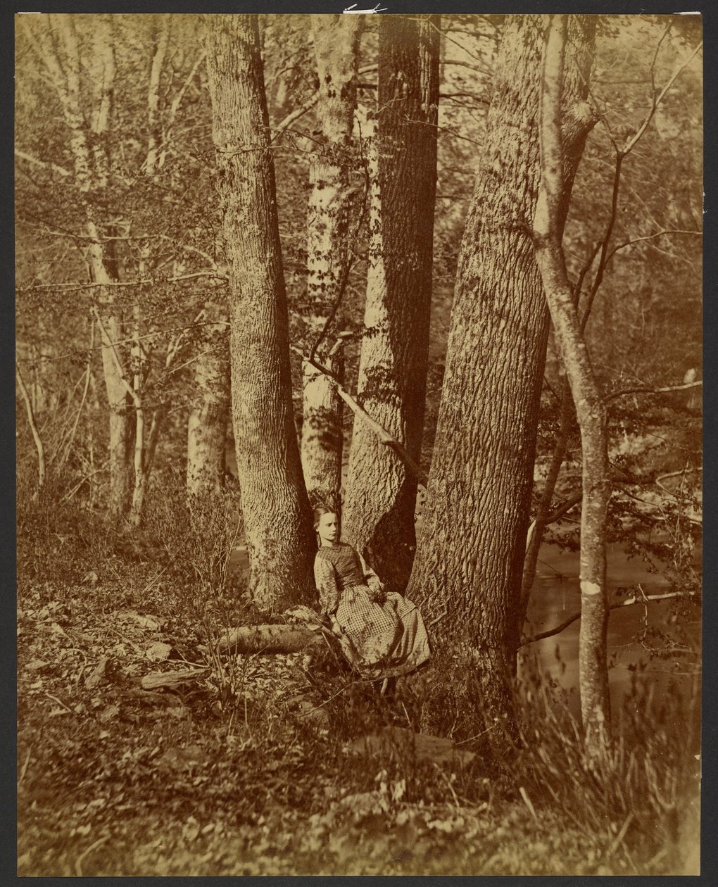 [Fille assise entre deux arbres] - Unknown artist