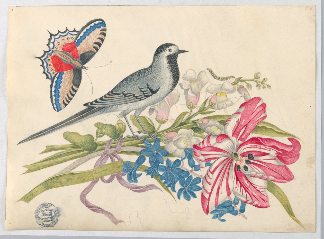 Oiseau gris sur une branche avec tulipe, mufliers et myosotis avec papillon - Unknown artist