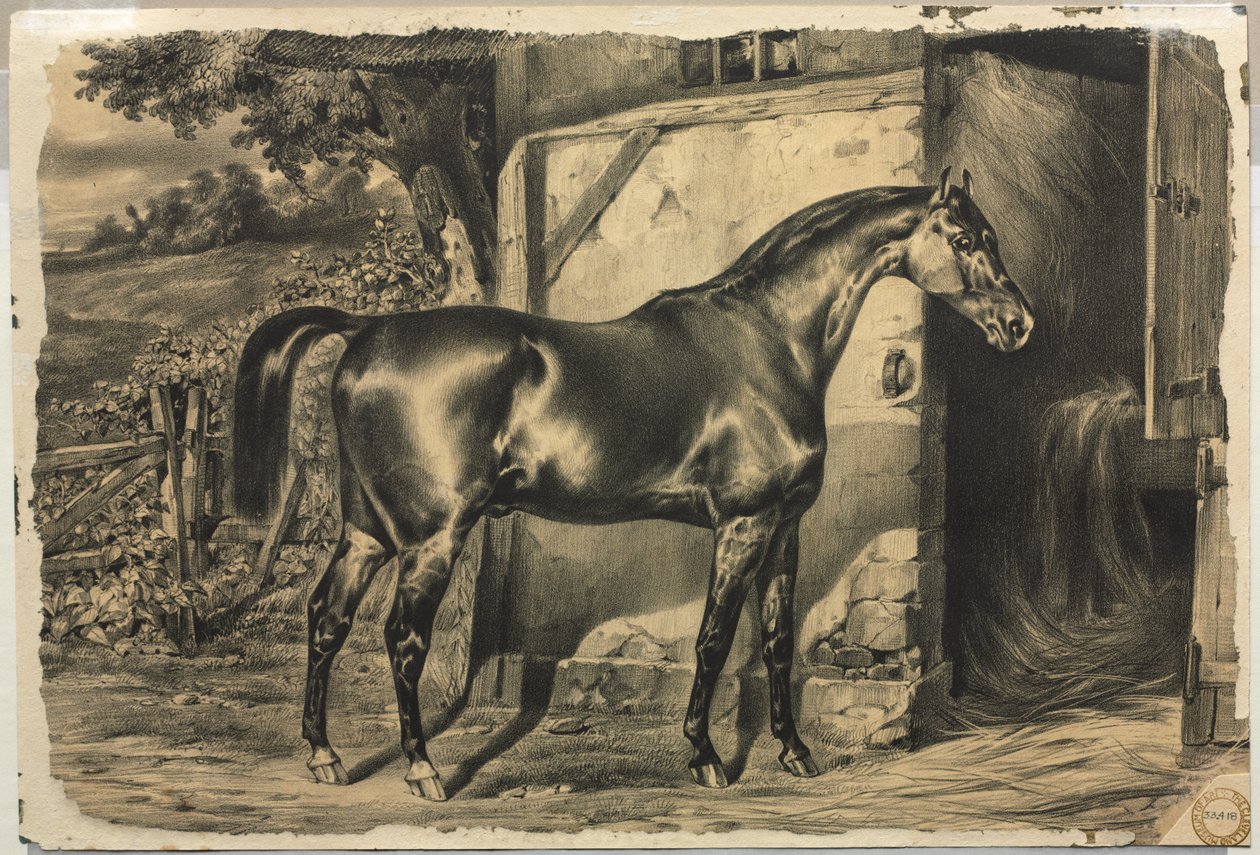 Cheval devant une grange (verso) - Unknown artist