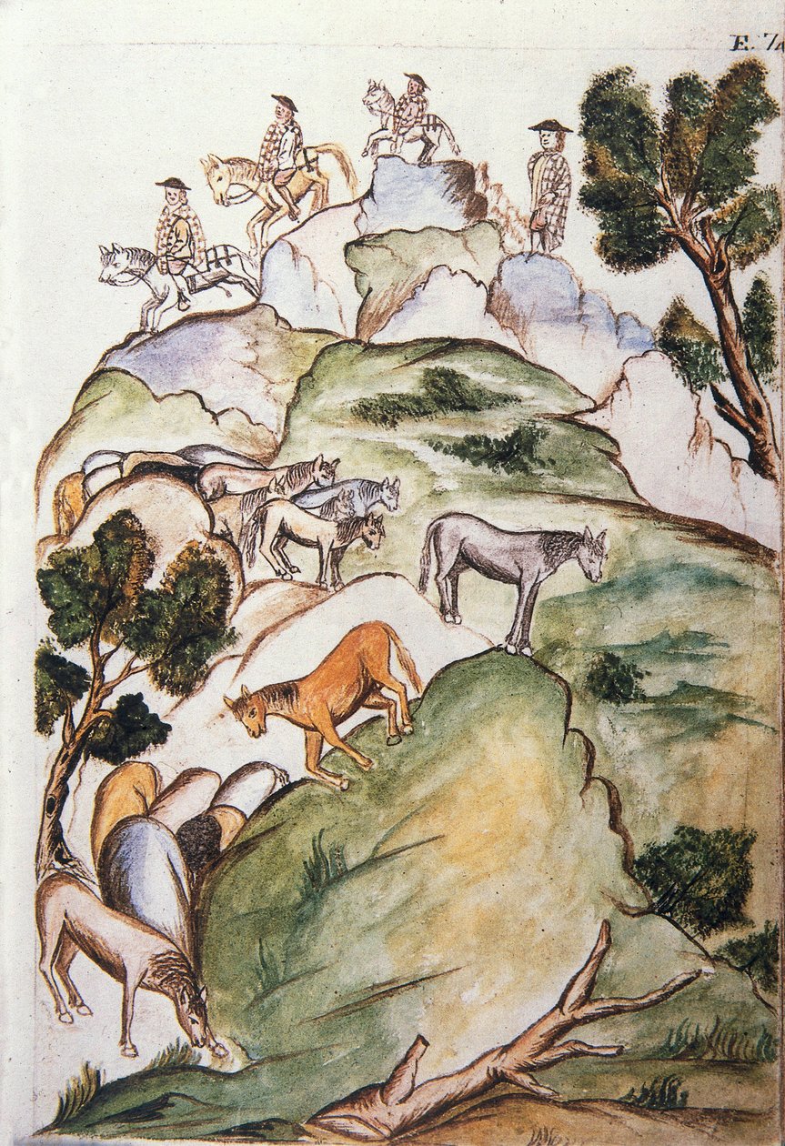 Gardiens de chevaux encerclant des juments dans les montagnes pour les attraper, du livre "Trujillo del Peru" ou "Códice Martínez Compañón", par Baltazar Martinez Compañón y Bujanda, évêque de Trujillo (1782-1785) - Unknown artist