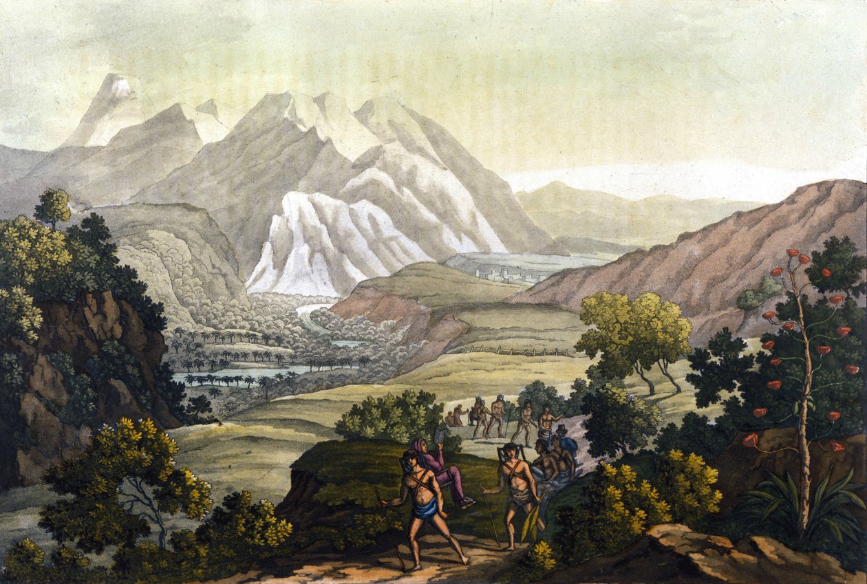 Humboldt et Bonpland traversent la montagne de Quindiu sur des chaises portées. Du voyage aux Andes par Alexander Von Humboldt (Alexandre de Humboldt) - Unknown artist