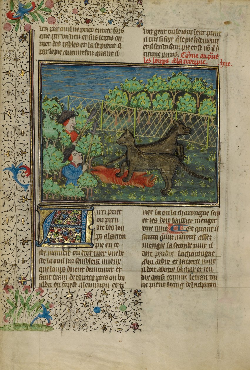 Les chasseurs attirent les loups avec des charognes - Unknown artist