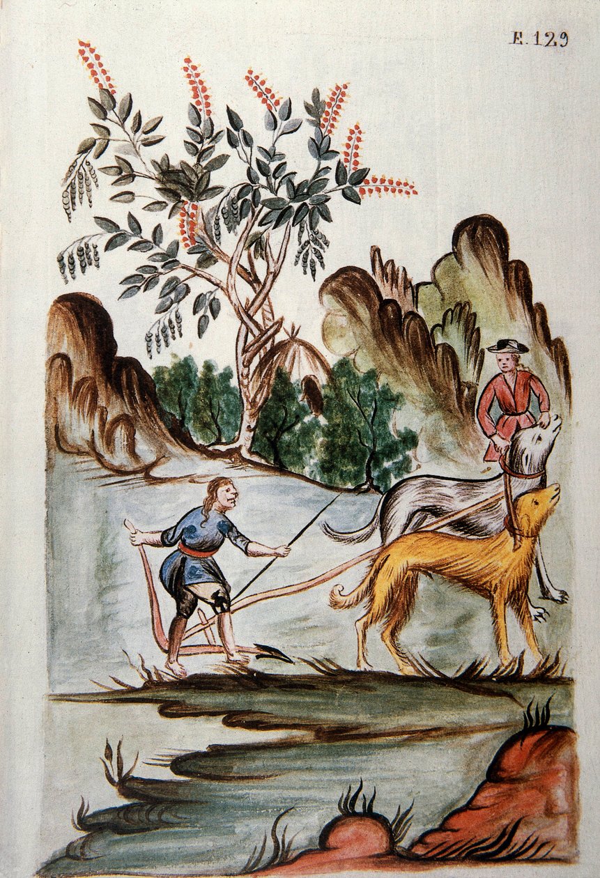 Indiens labourant un champ avec des chiens, du livre "Trujillo del Perú" ou "Codex Martínez Compañón", par Baltazar Martínez Compañón y Bujanda, évêque de Trujillo (1782-1785) - Unknown artist