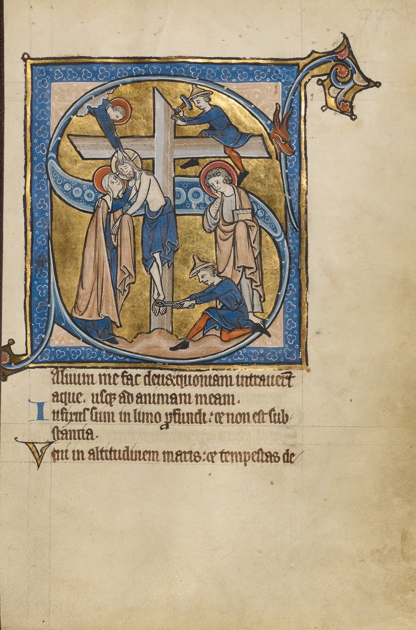 Initial S : La déposition - Unknown artist