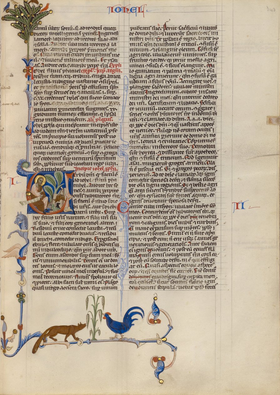 Initial V : Joël parle aux animaux - Unknown artist