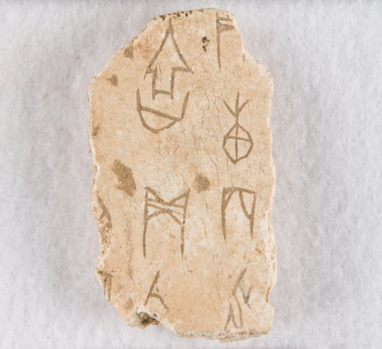 Fragment d
