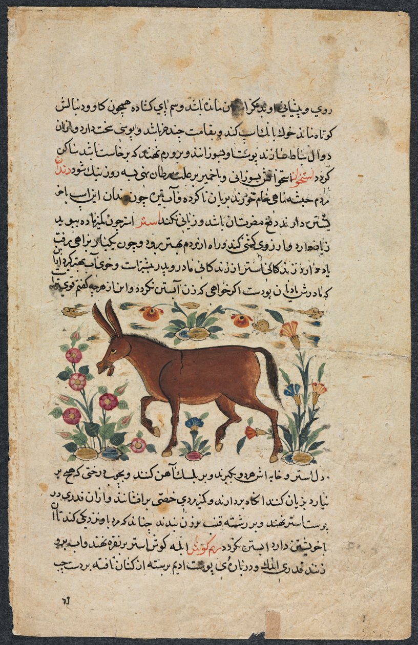 Khar (Âne), d