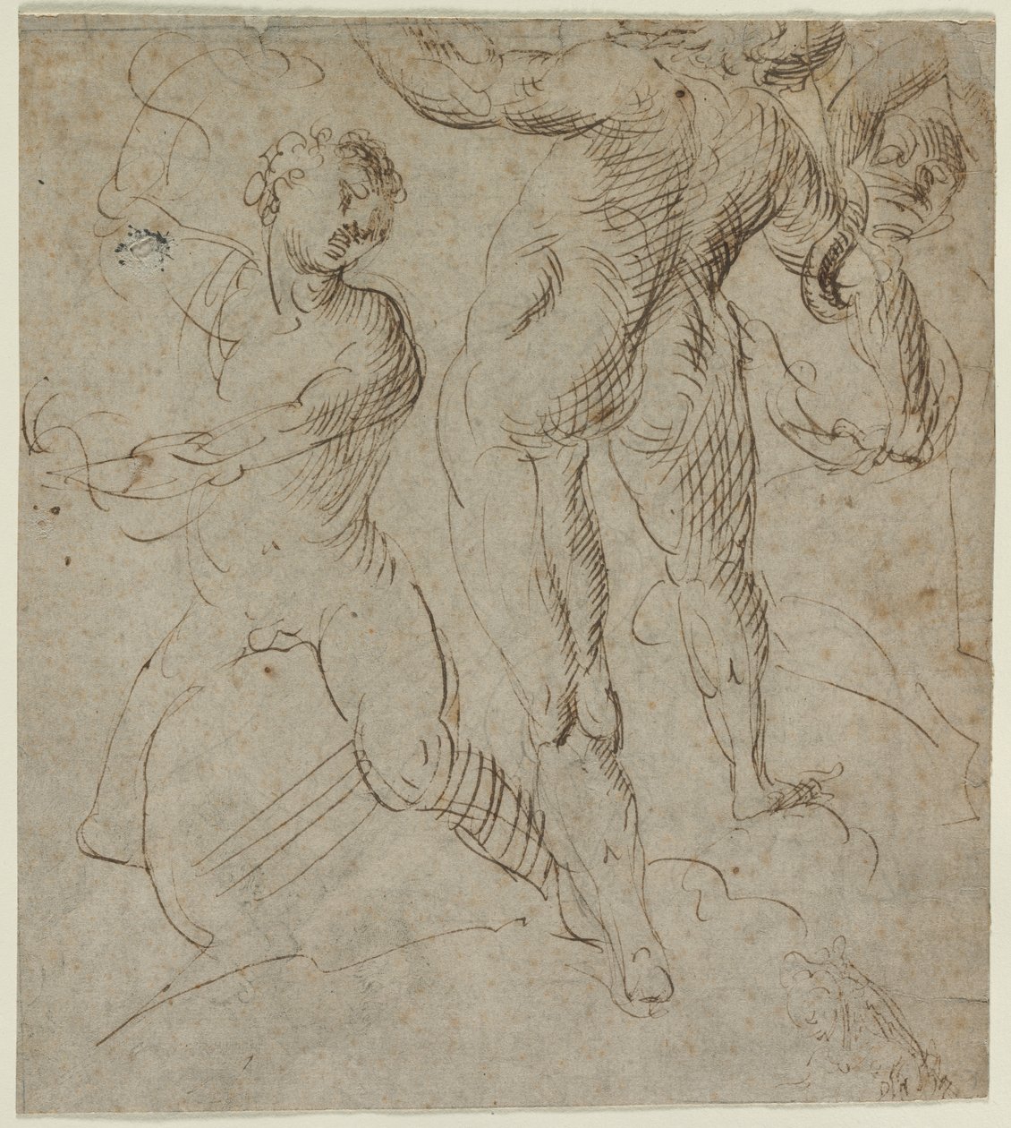Laocoön (recto) - Unknown artist
