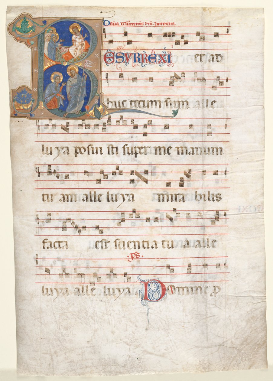 Feuille d