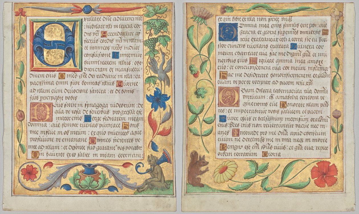 Feuille d
